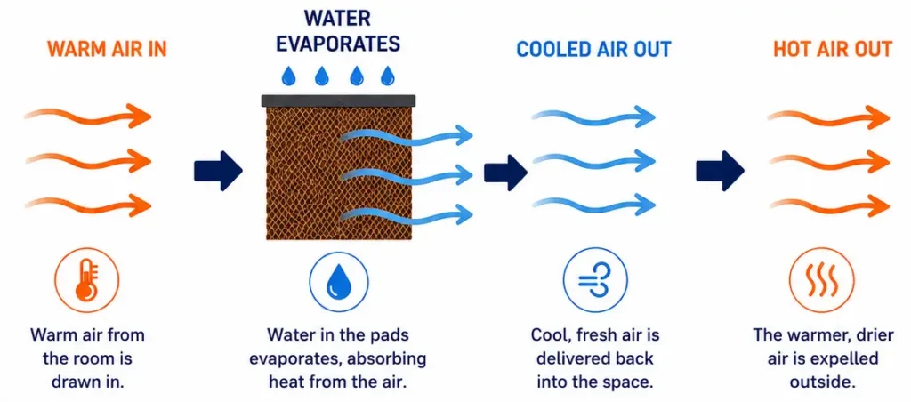 How evaporative cooling works
